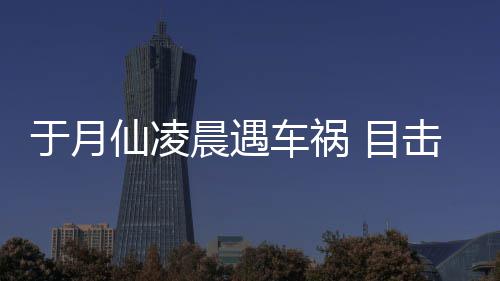 仙凌脏遍故现地 目于月发声击者事驼内晨遇车祸场骆