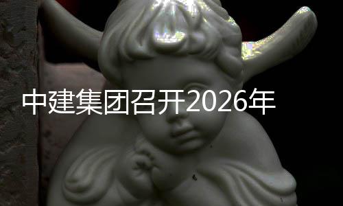 年碳中建召开作小组第达峰一次和工会议集团碳中