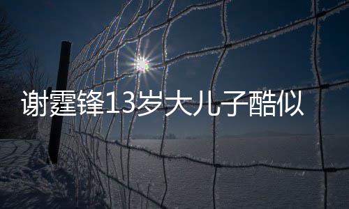 爸 柏芝谢霆牵手子酷逛街大儿和张锋1拒绝3岁似爸