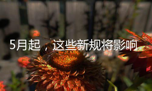 新规响你起，这些5月我生活将影